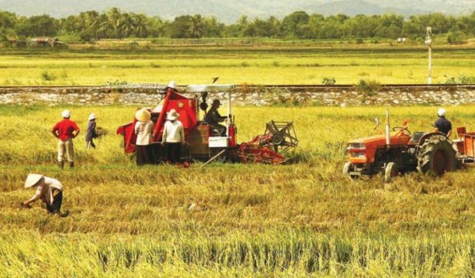 Nongnghiep 768x512 Hmxy